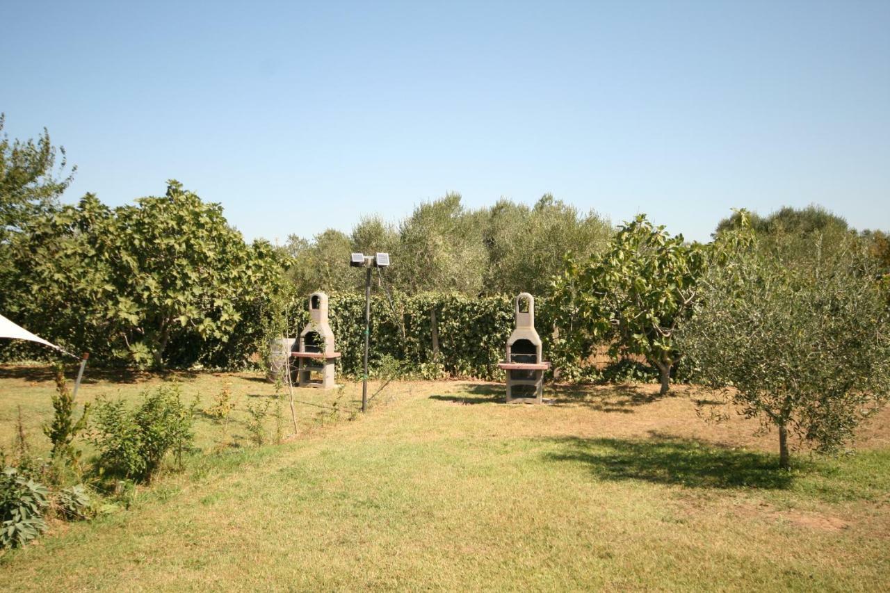 Due Casette Con Piscina Castagneto Carducci Buitenkant foto